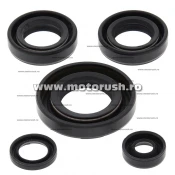 Kit simeringuri ulei motor WINDEROSA 822230