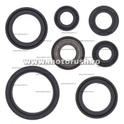 Kit simeringuri ulei motor WINDEROSA 822232