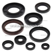 Kit simeringuri ulei motor WINDEROSA 822233