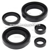 Kit simeringuri ulei motor WINDEROSA 822234