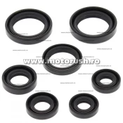 Kit simeringuri ulei motor WINDEROSA 822236