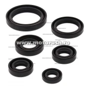 Kit simeringuri ulei motor WINDEROSA 822241