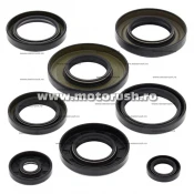Kit simeringuri ulei motor WINDEROSA 822253