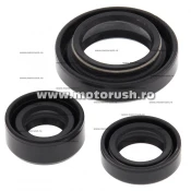 Kit simeringuri ulei motor WINDEROSA 822254