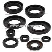 Kit simeringuri ulei motor WINDEROSA 822258