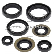 Kit simeringuri ulei motor WINDEROSA 822260