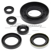 Kit simeringuri ulei motor WINDEROSA 822262