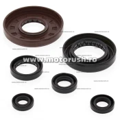 Kit simeringuri ulei motor WINDEROSA 822276