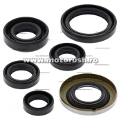 Kit simeringuri ulei motor WINDEROSA 822278