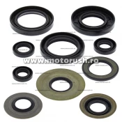 Kit simeringuri ulei motor WINDEROSA 822279