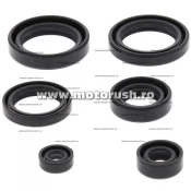 Kit simeringuri ulei motor WINDEROSA 822310