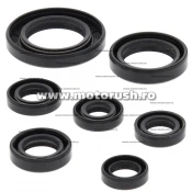 Kit simeringuri ulei motor WINDEROSA 822311
