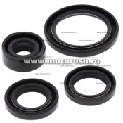 Kit simeringuri ulei motor WINDEROSA 822314