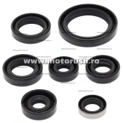 Kit simeringuri ulei motor WINDEROSA 822323