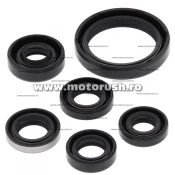 Kit simeringuri ulei motor WINDEROSA 822334