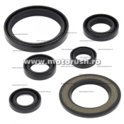 Kit simeringuri ulei motor WINDEROSA 822338