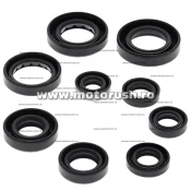 Kit simeringuri ulei motor WINDEROSA 822341