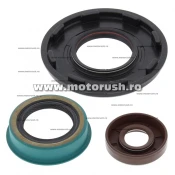 Kit simeringuri ulei motor WINDEROSA 822345