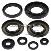 Kit simeringuri ulei motor WINDEROSA 822349