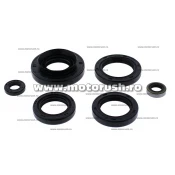 Kit simeringuri ulei motor WINDEROSA 822366