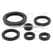 Kit simeringuri ulei motor WINDEROSA 822978
