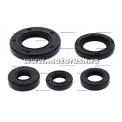 Kit simeringuri ulei motor WINDEROSA 822990