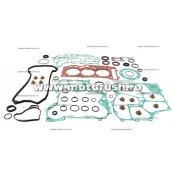 Kit complet garnituri si simeringuri motor WINDEROSA 611216