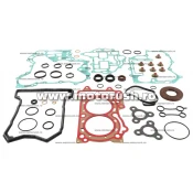 Kit complet garnituri si simeringuri motor WINDEROSA 711322