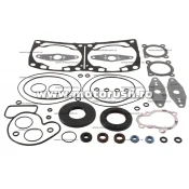 Kit complet garnituri si simeringuri motor WINDEROSA 711331