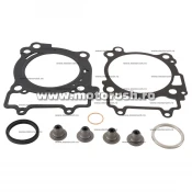 Kit garnituri motor TOP END WINDEROSA 8100001