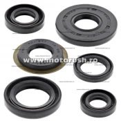 Kit simeringuri ulei motor WINDEROSA 822307
