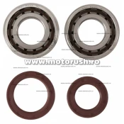 Kit rulmenti si simeringuri arbore HOT RODS K092