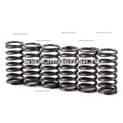 Kit arcuri de ambreiaj MOTION STUFF pentru KTM EXC-F 350, SX-F 350 2011-2012 / SUZUKI RM 125, RM 250 1997-2005